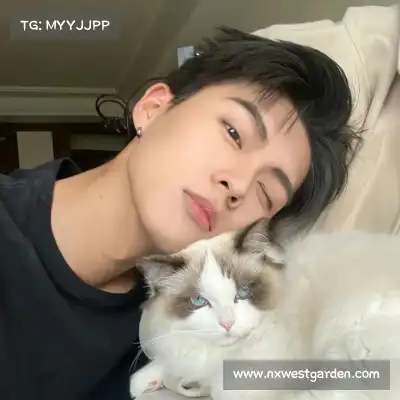 韶翊